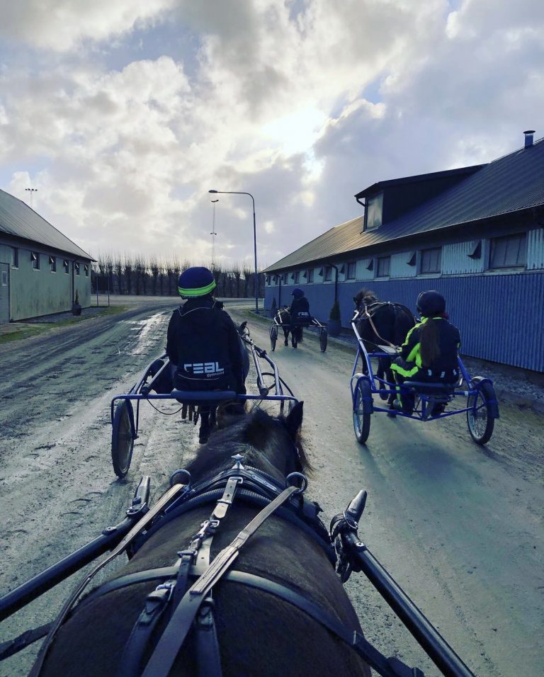 Elever rider längs bana i sulki.