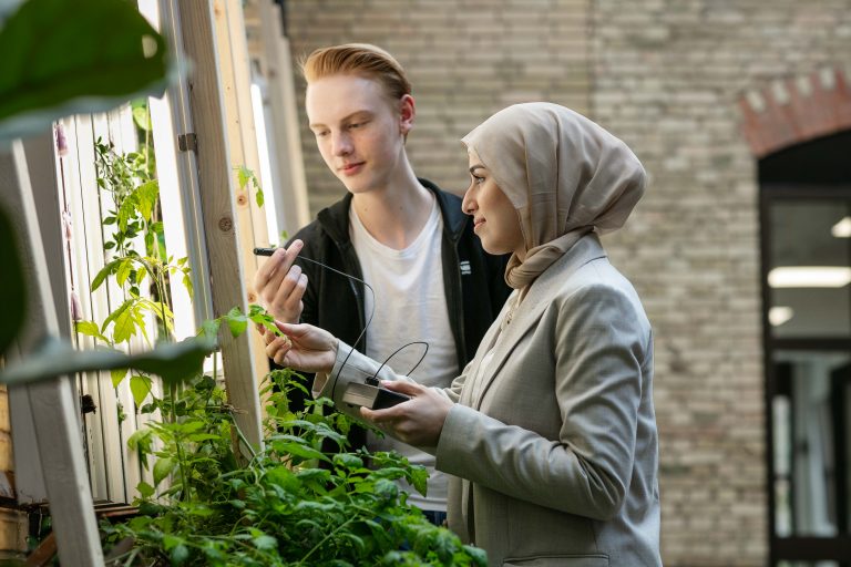 Två elever arbetar med vår hydroponiska odling i vår innergård.