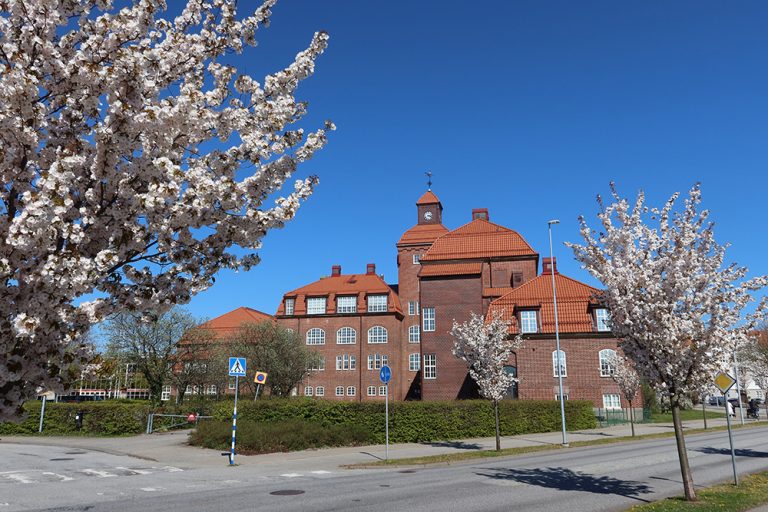 Stor röd tegelbyggnad med blå himmel och träd med vita blommor i förgrunden.