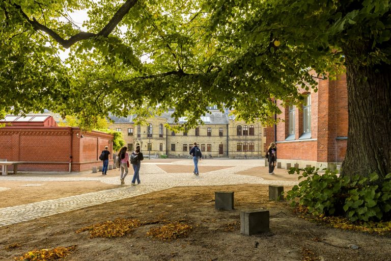 Elever på Katedralskolans innergård.