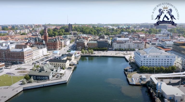 Vatten och byggnader fotograferade ovanifrån. Vacker vy över Helsingborg med vår skola i centrum.