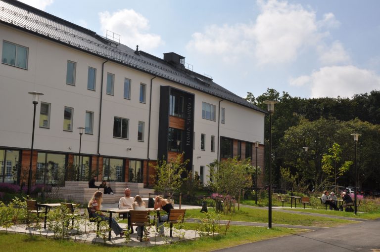 Grupper av människor som sitter i solen bland blommor och gräs framför Campus Vipan.