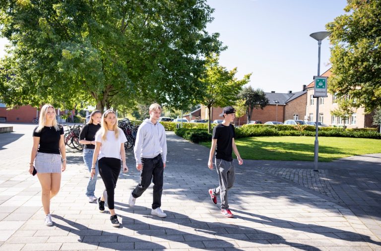 Fem elever promenerar på skolgården.