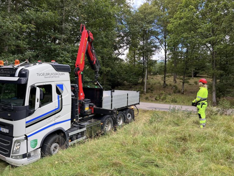 En transportelev lastar säckar på lastbilsflaket med kran ute på en skogsväg.