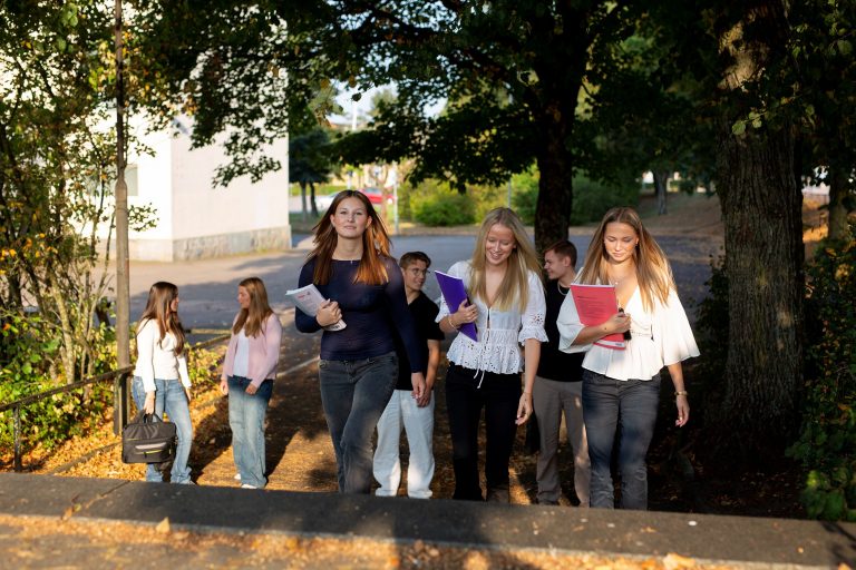 Elever på väg mot skolan via trappa.