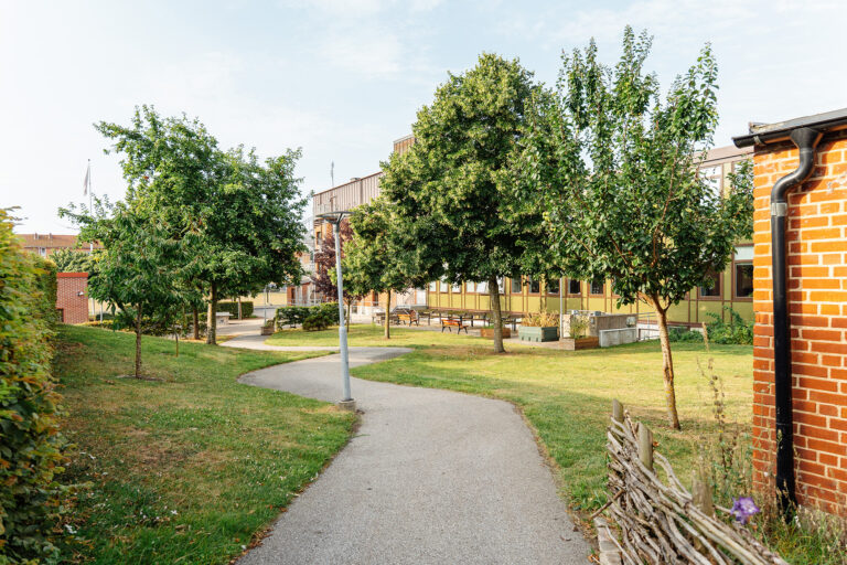 Grönskande innergård vid byggnaden Park på Ystad Gymnasium