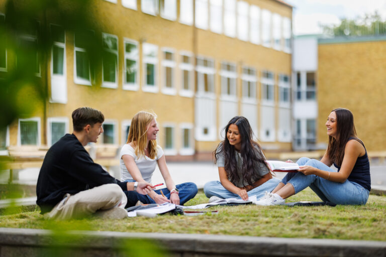 Ett gäng glada elever pluggar i gräset på skolgården!