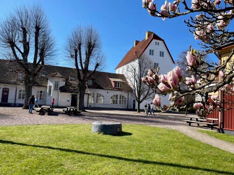 Vit byggnad som heter Högahus där hälften av eleverna håller till. Gräs och blommande Magnolia framför.